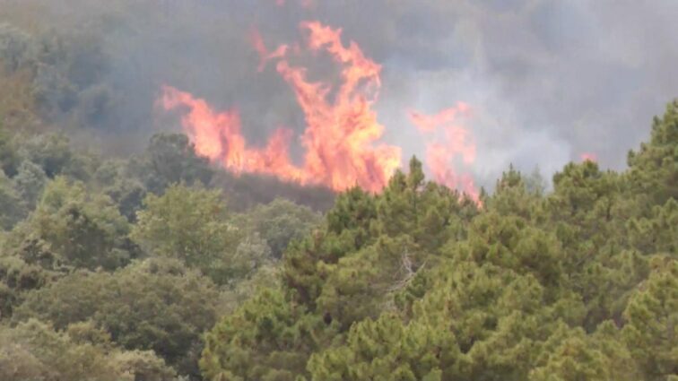 Lleida Fire
