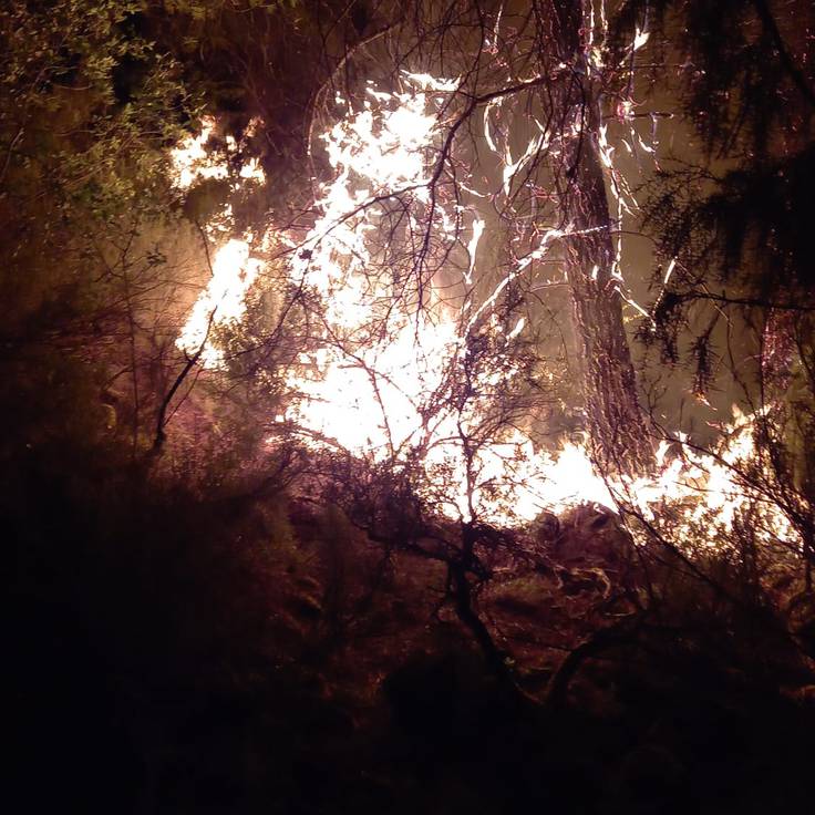 Benatae Fire