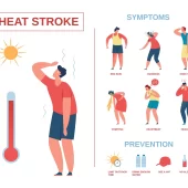 Heatstroke Infographic Poster Heat Stroke Symptoms Prevention Summer Sun Safety Heat Exhaustion Hot Weather Tips Vector Illustration 461812 1496