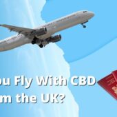 Can you fly with CBD oil article hero art.