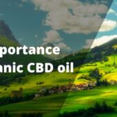 Organic Cbd Oil 1